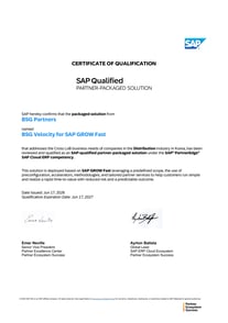 BSG, SAP 공식 인증을 받았습니다 — 'BSG Velocity for SAP GROW Fast'